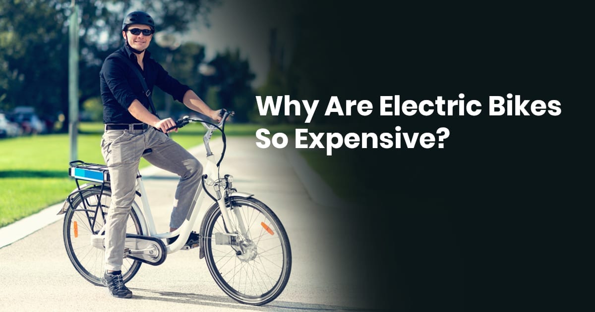 Why Are Electric Bikes so Expensive? » BoxerCycles